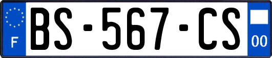 BS-567-CS