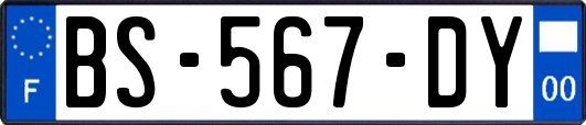 BS-567-DY