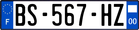 BS-567-HZ