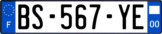 BS-567-YE
