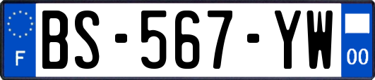 BS-567-YW