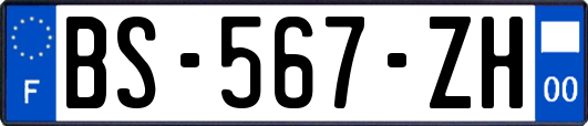 BS-567-ZH