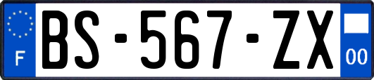 BS-567-ZX