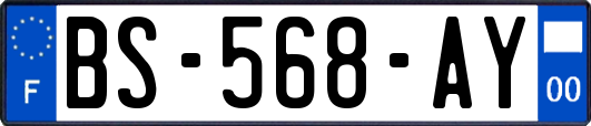 BS-568-AY