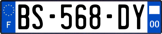 BS-568-DY