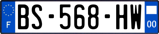 BS-568-HW