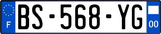 BS-568-YG