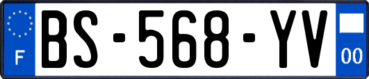 BS-568-YV