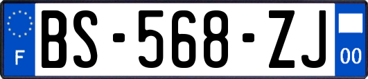 BS-568-ZJ