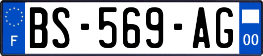 BS-569-AG