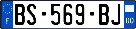 BS-569-BJ