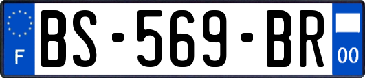 BS-569-BR