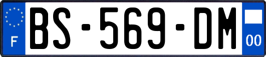 BS-569-DM