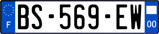 BS-569-EW