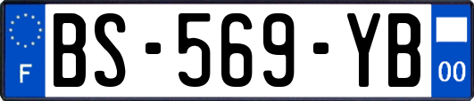 BS-569-YB