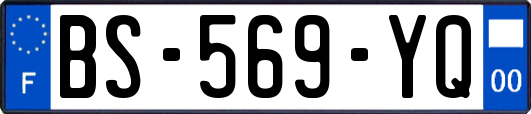 BS-569-YQ