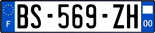 BS-569-ZH