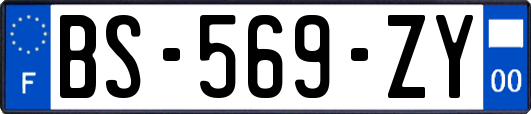 BS-569-ZY