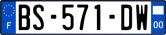 BS-571-DW