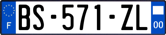 BS-571-ZL
