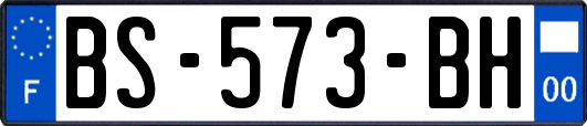 BS-573-BH