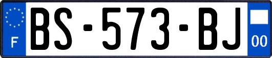 BS-573-BJ