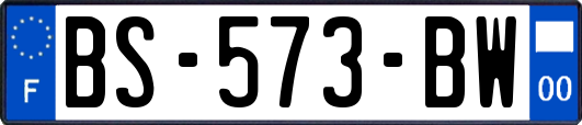 BS-573-BW