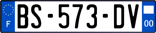 BS-573-DV