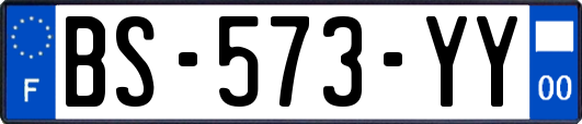 BS-573-YY