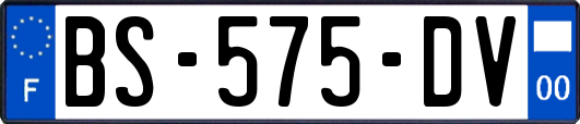 BS-575-DV