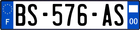 BS-576-AS