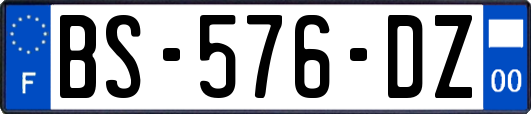 BS-576-DZ