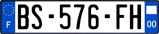 BS-576-FH