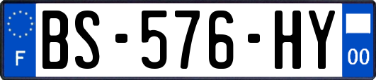 BS-576-HY