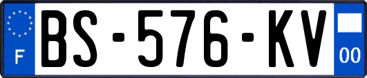 BS-576-KV
