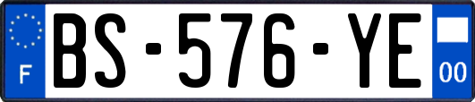BS-576-YE