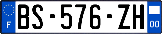 BS-576-ZH