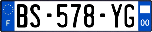 BS-578-YG