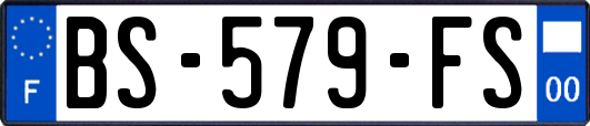 BS-579-FS
