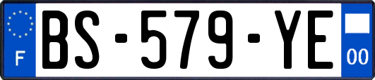 BS-579-YE