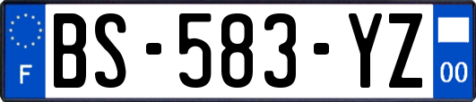 BS-583-YZ