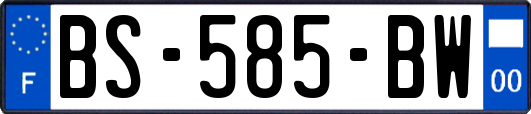 BS-585-BW
