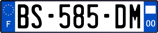 BS-585-DM
