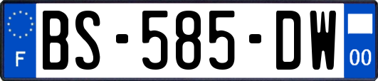 BS-585-DW