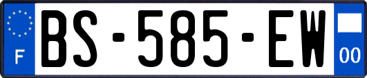 BS-585-EW