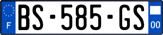 BS-585-GS