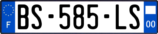 BS-585-LS