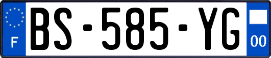 BS-585-YG