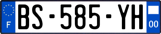 BS-585-YH