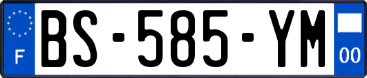 BS-585-YM